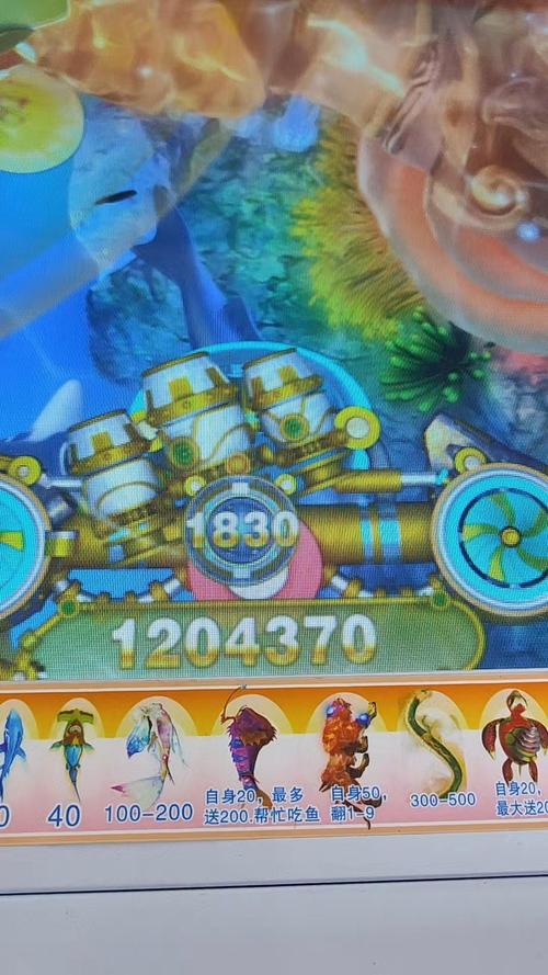 119bet win com oferece entretenimento e oportunidades no mercado de apostas brasileiro